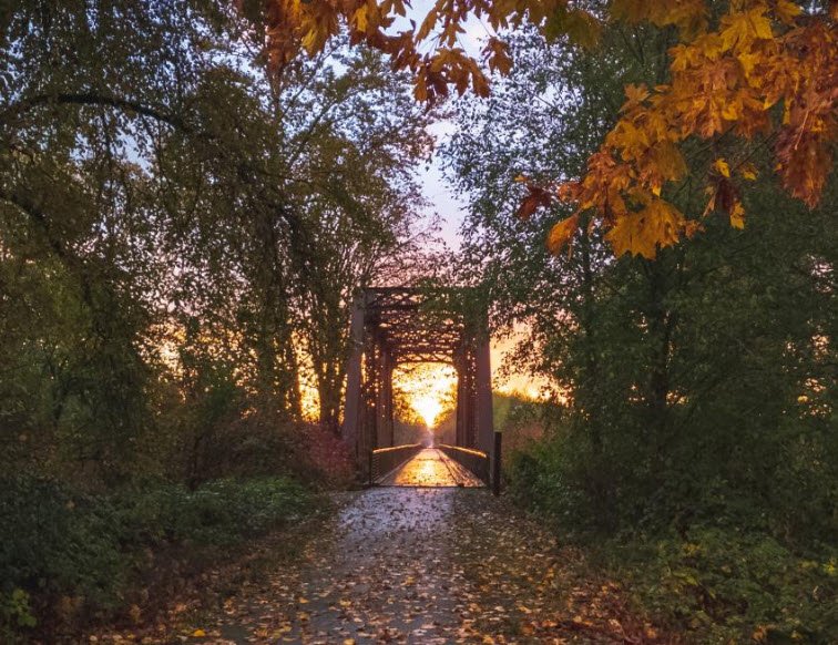 Willapa Hills State Park Trail - Chehalis Trailhead